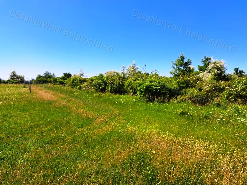 Könnyű megközelíthetőség - eladó SZŐLŐTERÜLET BALATONAKALIBAN