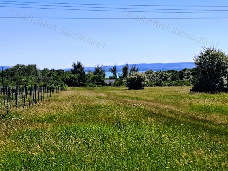 Könnyű megközelíthetőség - eladó SZŐLŐTERÜLET BALATONAKALIBAN
