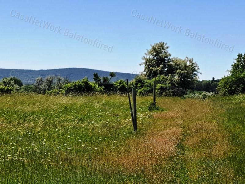 Könnyű megközelíthetőség - eladó SZŐLŐTERÜLET BALATONAKALIBAN