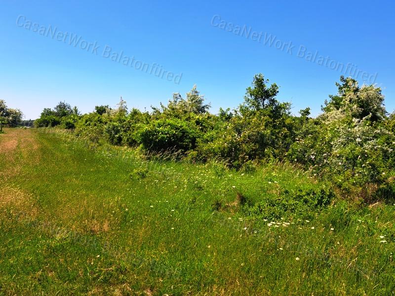 Könnyű megközelíthetőség - eladó SZŐLŐTERÜLET BALATONAKALIBAN