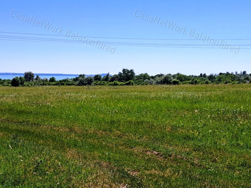 Könnyű megközelíthetőség - eladó SZŐLŐTERÜLET BALATONAKALIBAN