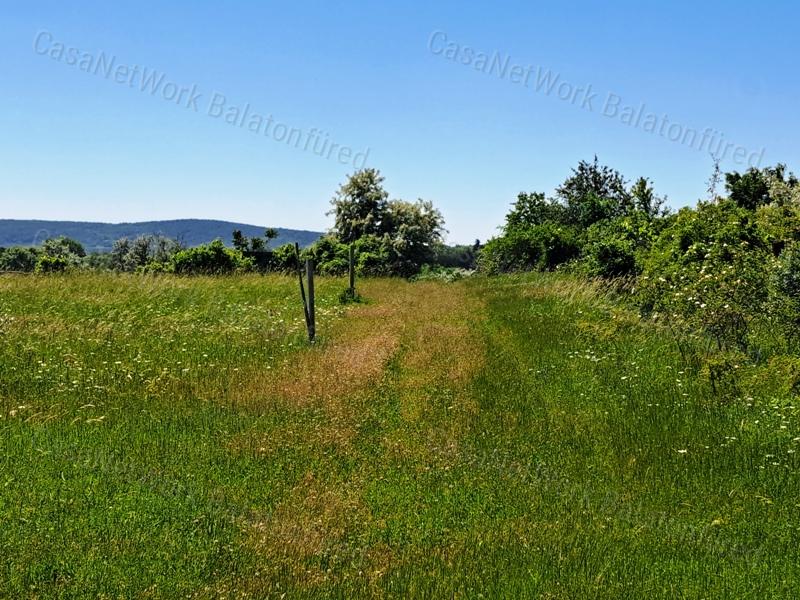 Könnyű megközelíthetőség - eladó SZŐLŐTERÜLET BALATONAKALIBAN