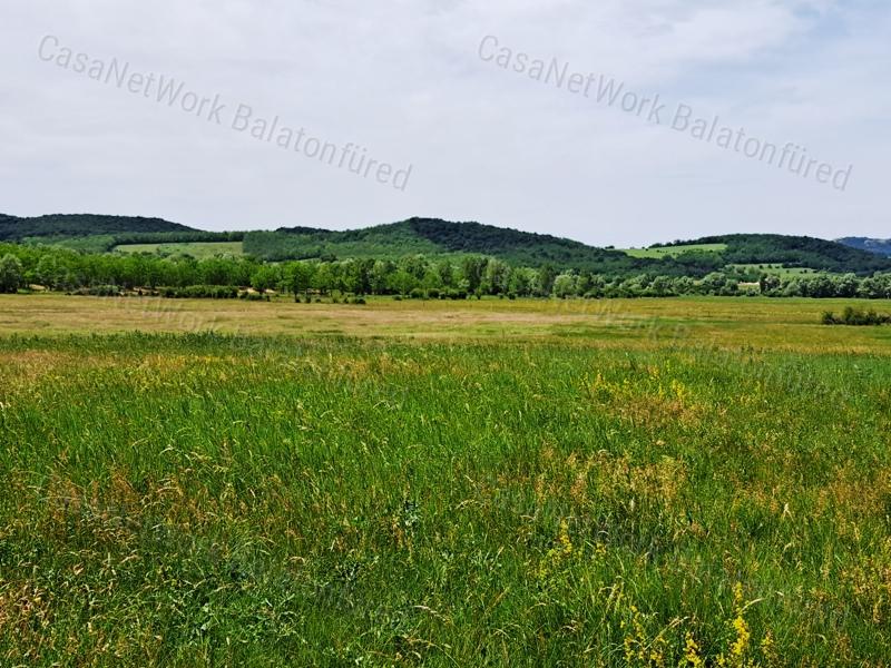 Kedvező adottságokkal-eladó MEZŐGAZDASÁGI TERÜLET BALATONRENDESEN