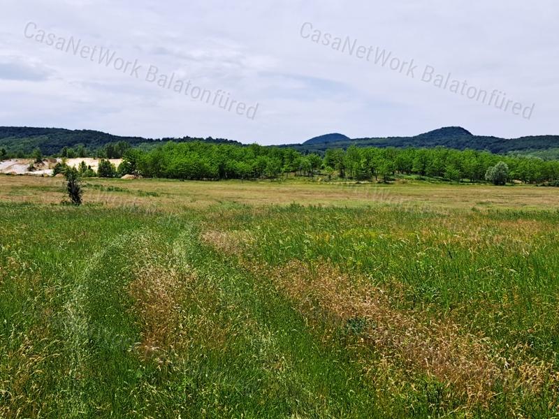 Kedvező adottságokkal-eladó MEZŐGAZDASÁGI TERÜLET BALATONRENDESEN