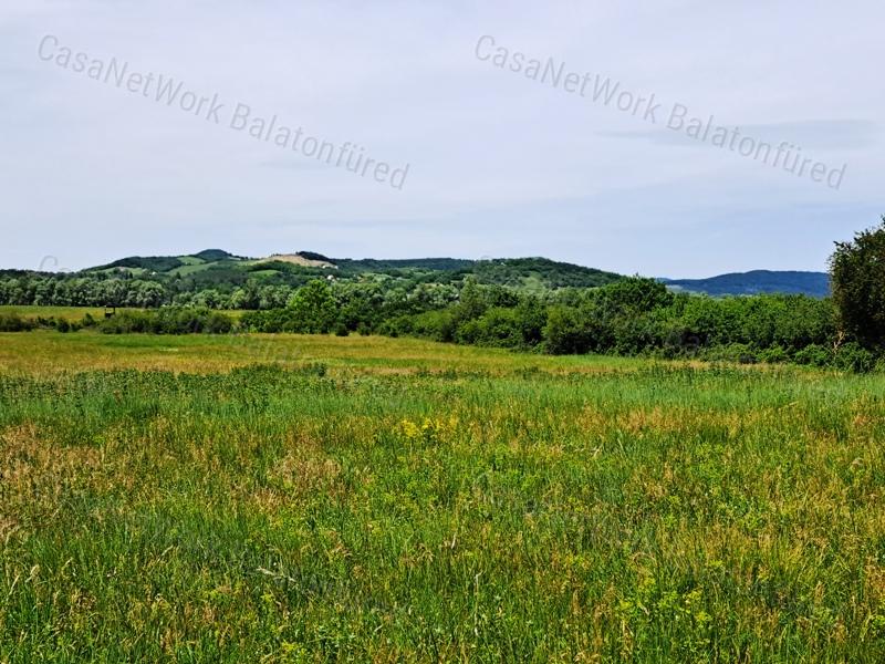 Kedvező adottságokkal-eladó MEZŐGAZDASÁGI TERÜLET BALATONRENDESEN