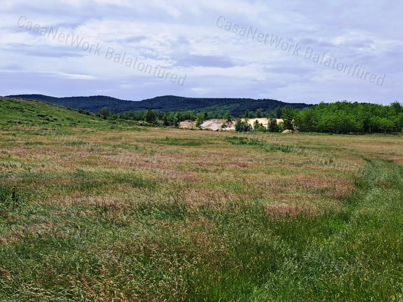 Kedvező adottságokkal-eladó MEZŐGAZDASÁGI TERÜLET BALATONRENDESEN