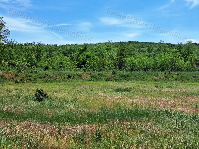Kedvező adottságokkal-eladó MEZŐGAZDASÁGI TERÜLET BALATONRENDESEN