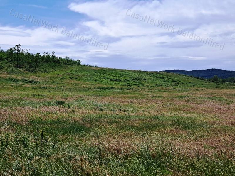 Kedvező adottságokkal-eladó MEZŐGAZDASÁGI TERÜLET BALATONRENDESEN