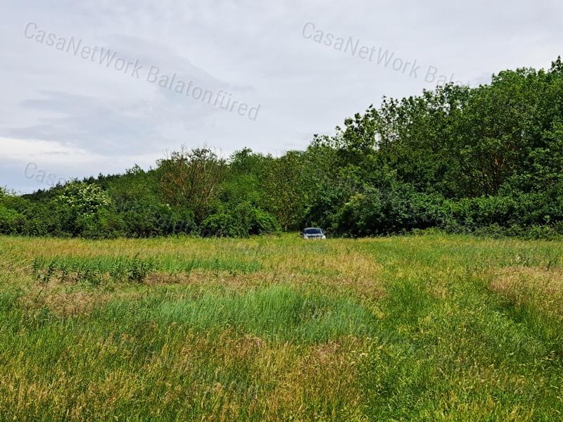Kedvező adottságokkal-eladó MEZŐGAZDASÁGI TERÜLET BALATONRENDESEN