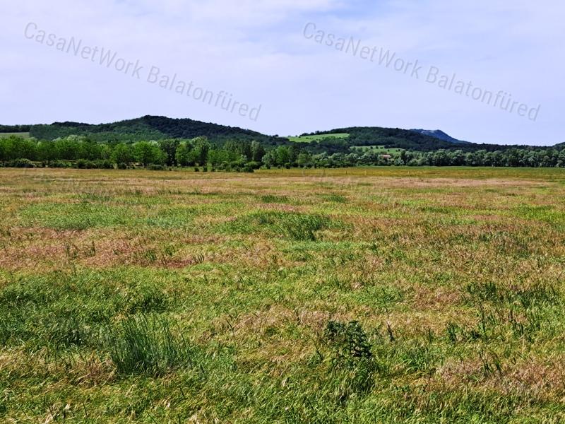 Kedvező adottságokkal-eladó MEZŐGAZDASÁGI TERÜLET BALATONRENDESEN