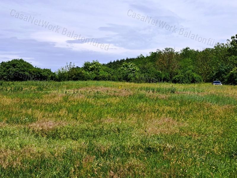 Kedvező adottságokkal-eladó MEZŐGAZDASÁGI TERÜLET BALATONRENDESEN