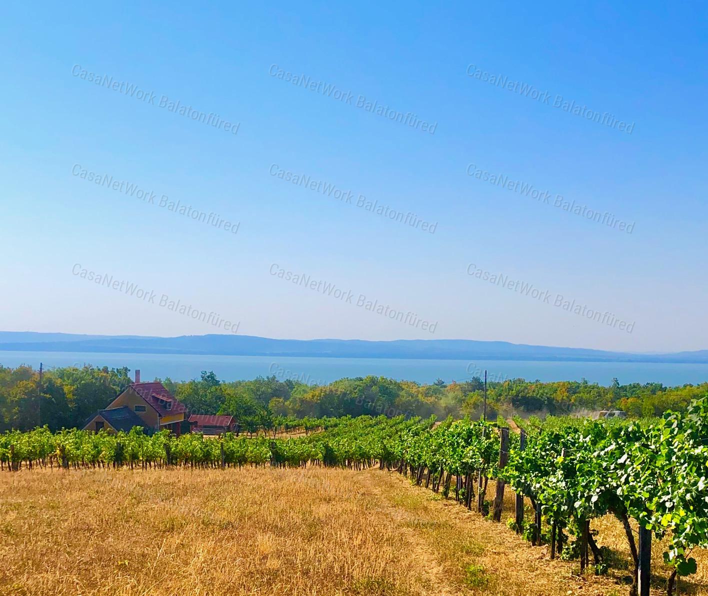 Beépíthető panorámás szőlőterület