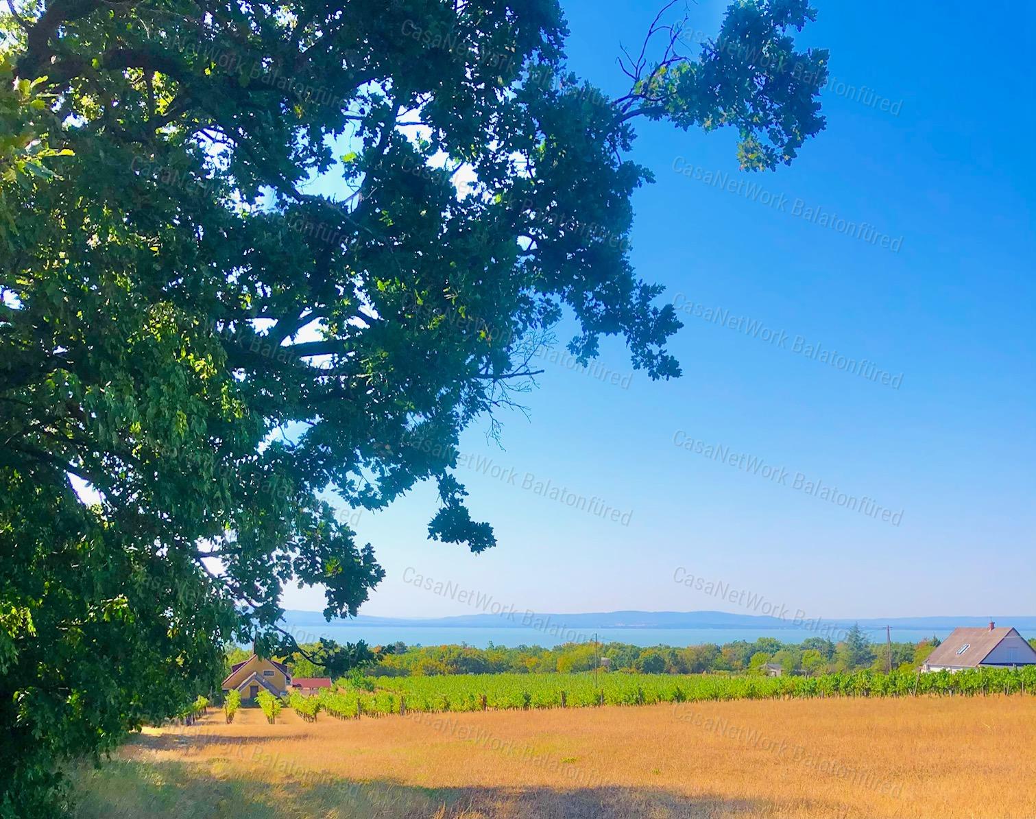 Beépíthető panorámás szőlőterület