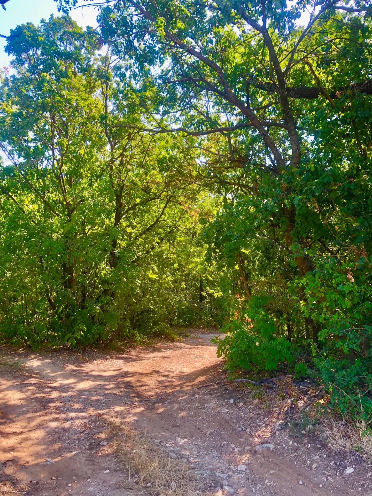 Beépíthető panorámás szőlőterület