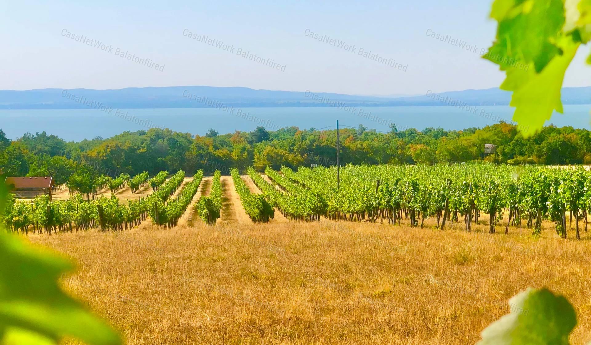 Életérzés, ahol a Balaton látványa nyűgöz Le