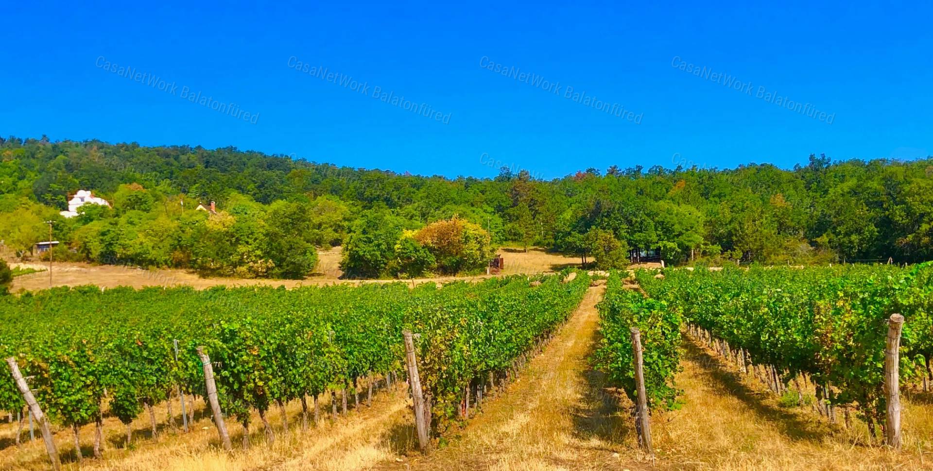 Balaton-Felvidéki Szőlőterület