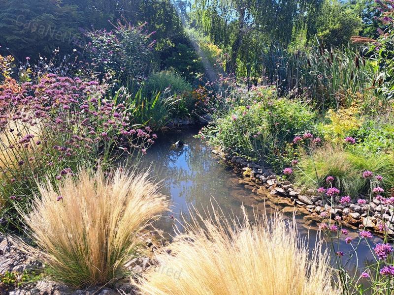 Teljesen önellátó tanya a természet ölelésében.