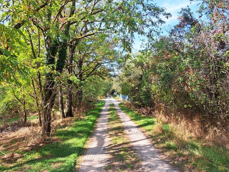 Pincesor közelében - eladó ZÁRTKERT BALATONFŐKAJÁRON