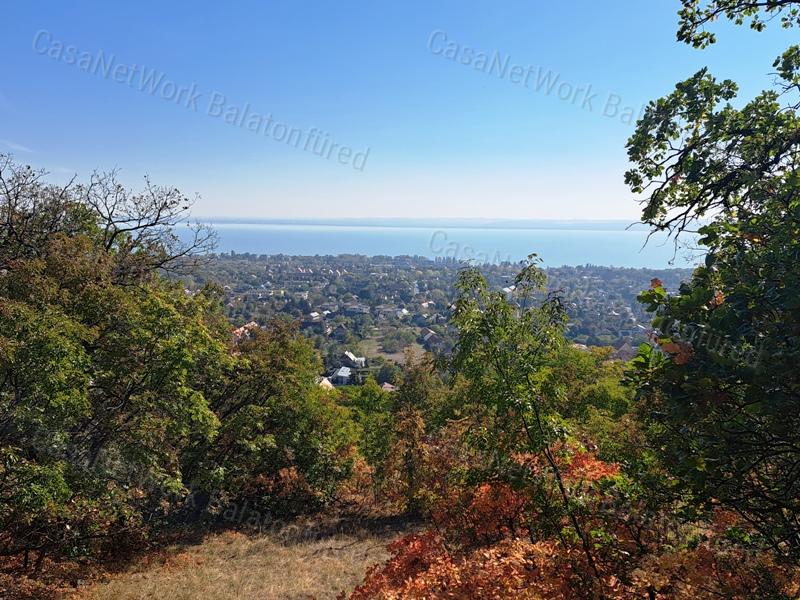Erdőben, panorámás- eladó MEZŐGAZDASÁGI TERÜLET BALATONFÜREDEN