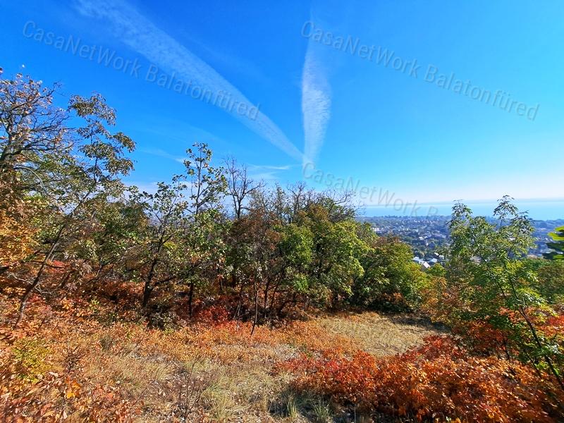Erdőben, panorámás- eladó MEZŐGAZDASÁGI TERÜLET BALATONFÜREDEN