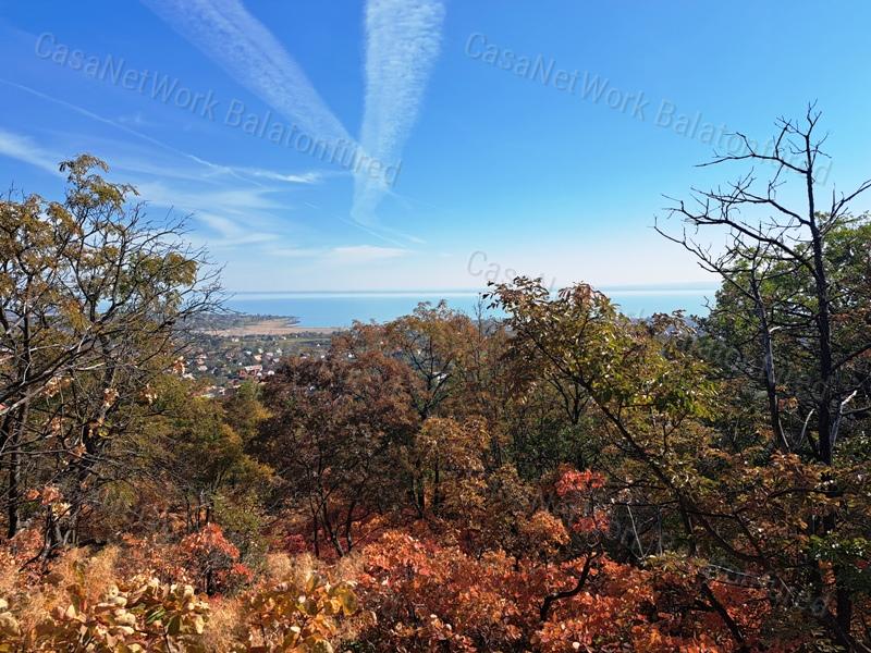 Erdőben, panorámás- eladó MEZŐGAZDASÁGI TERÜLET BALATONFÜREDEN
