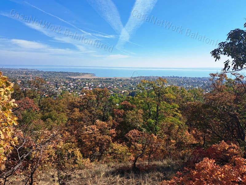Erdőben, panorámás- eladó MEZŐGAZDASÁGI TERÜLET BALATONFÜREDEN