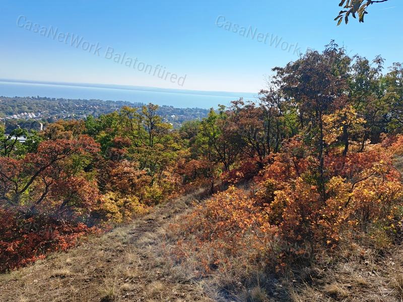 Erdőben, panorámás- eladó MEZŐGAZDASÁGI TERÜLET BALATONFÜREDEN