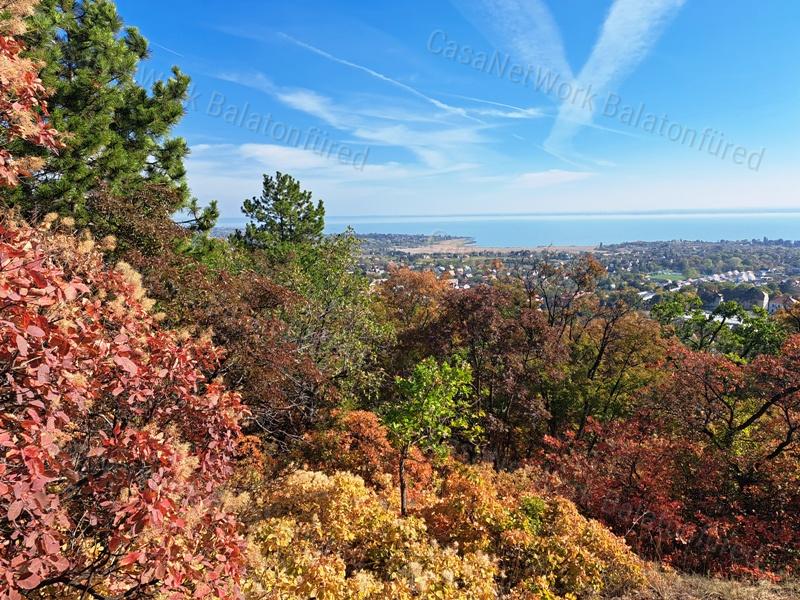 Erdőben, panorámás- eladó MEZŐGAZDASÁGI TERÜLET BALATONFÜREDEN