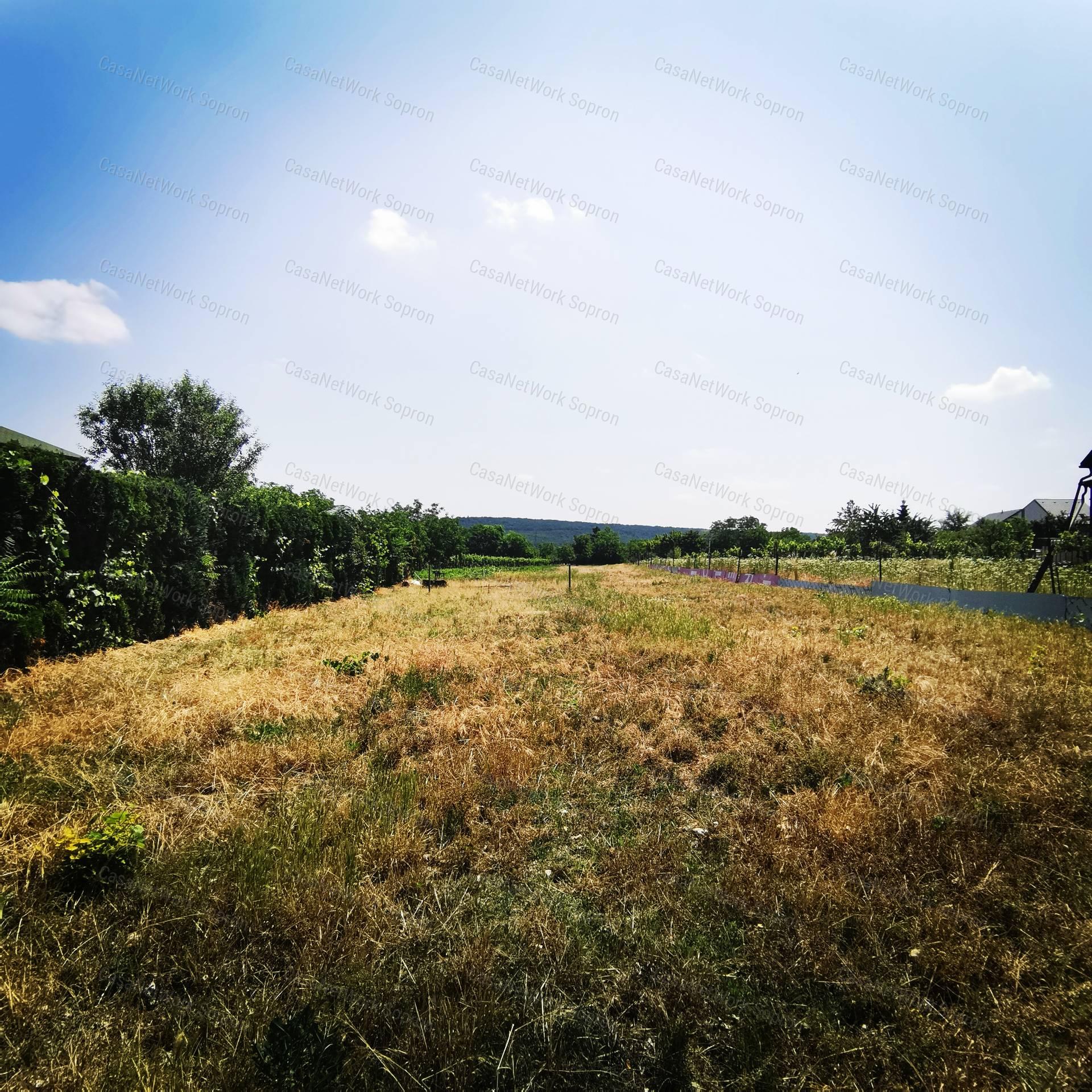 elad-k-lter-let-sopron-aranyhegy-sz-164302648-casanetwork-hu