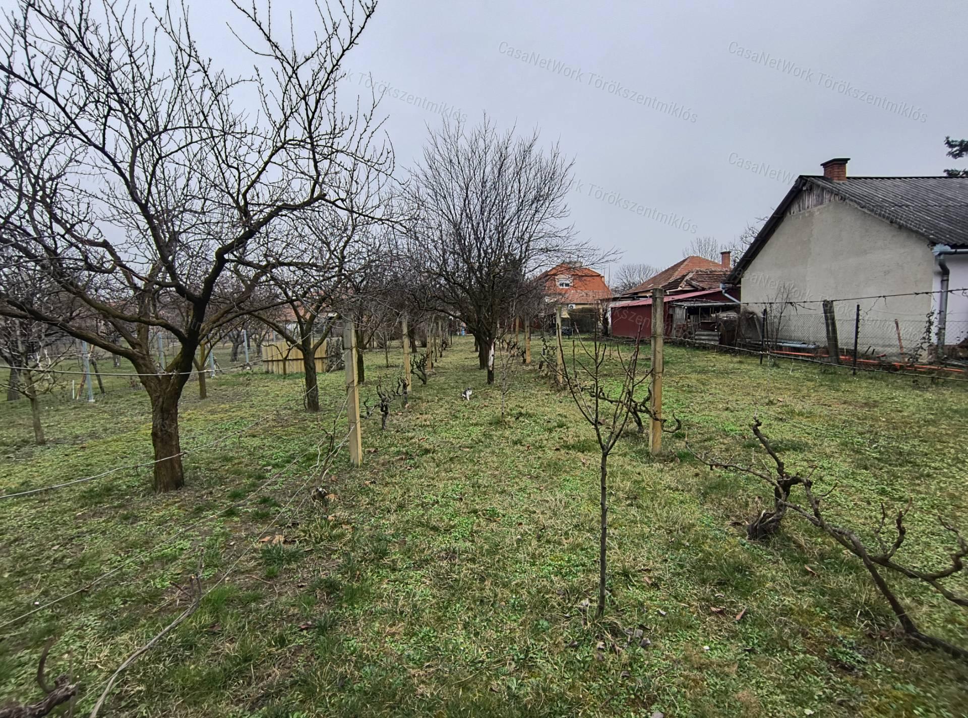 Eladós családi ház Törökszentmiklós központjában!