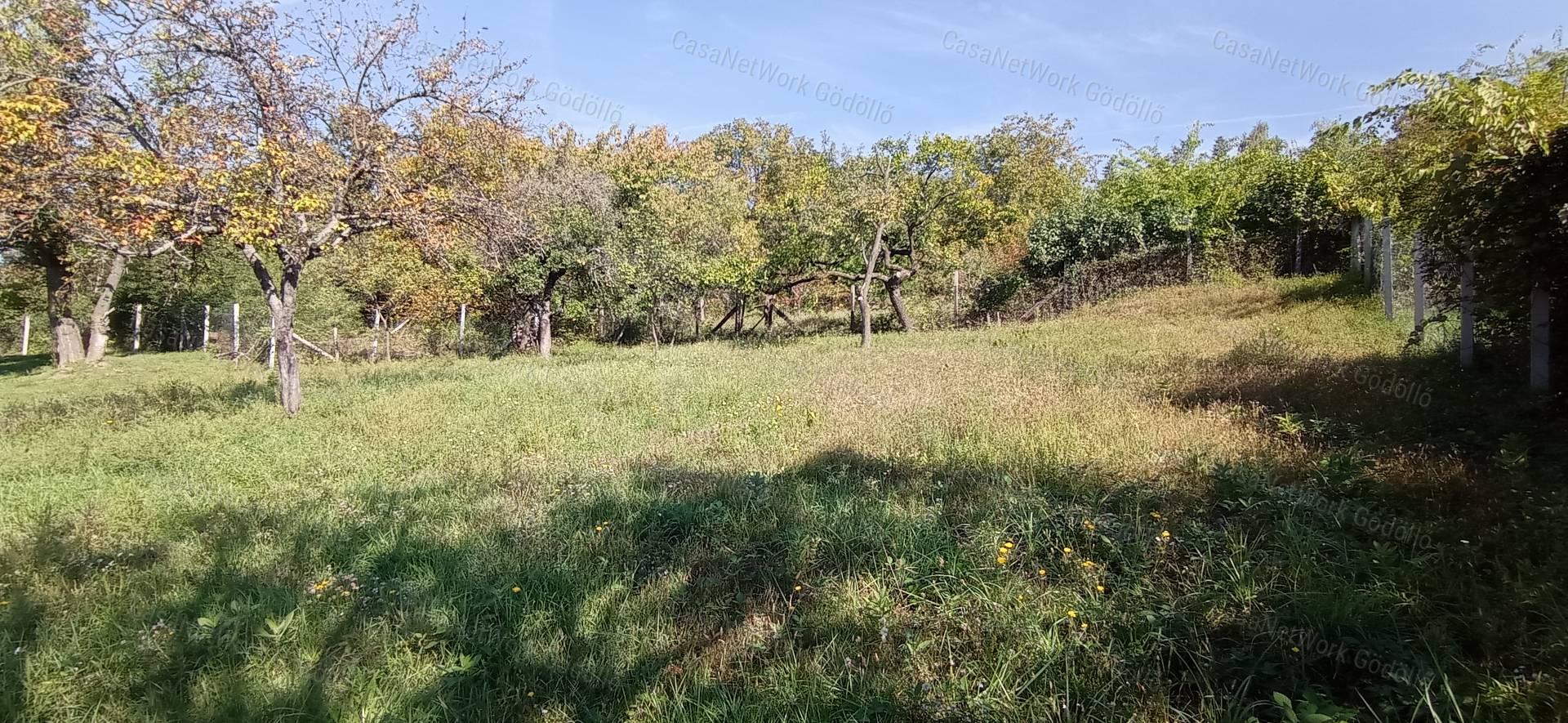 Csend, panoráma, természet