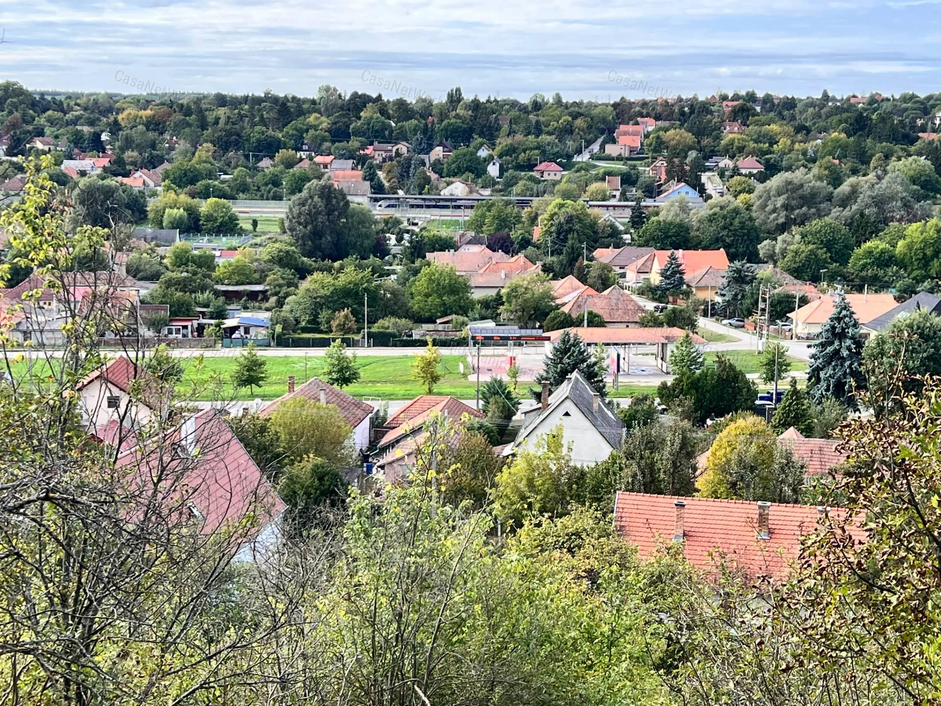 Vályogház, borospince 1 hektáron