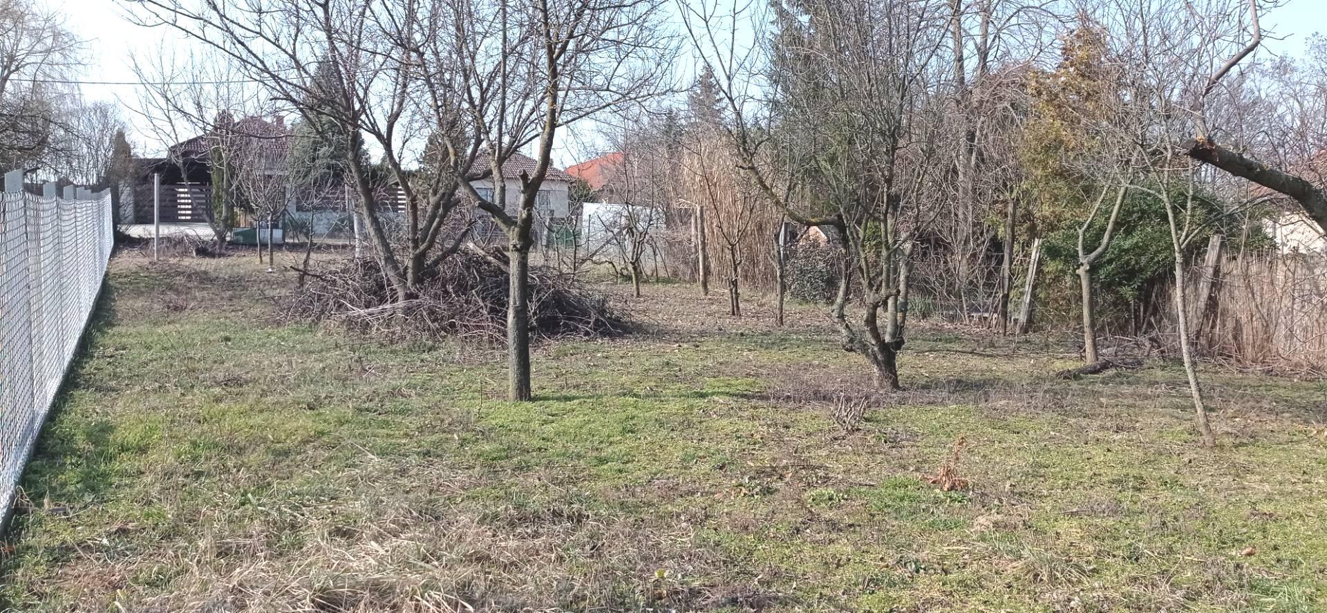 Természet, csend, lakópark