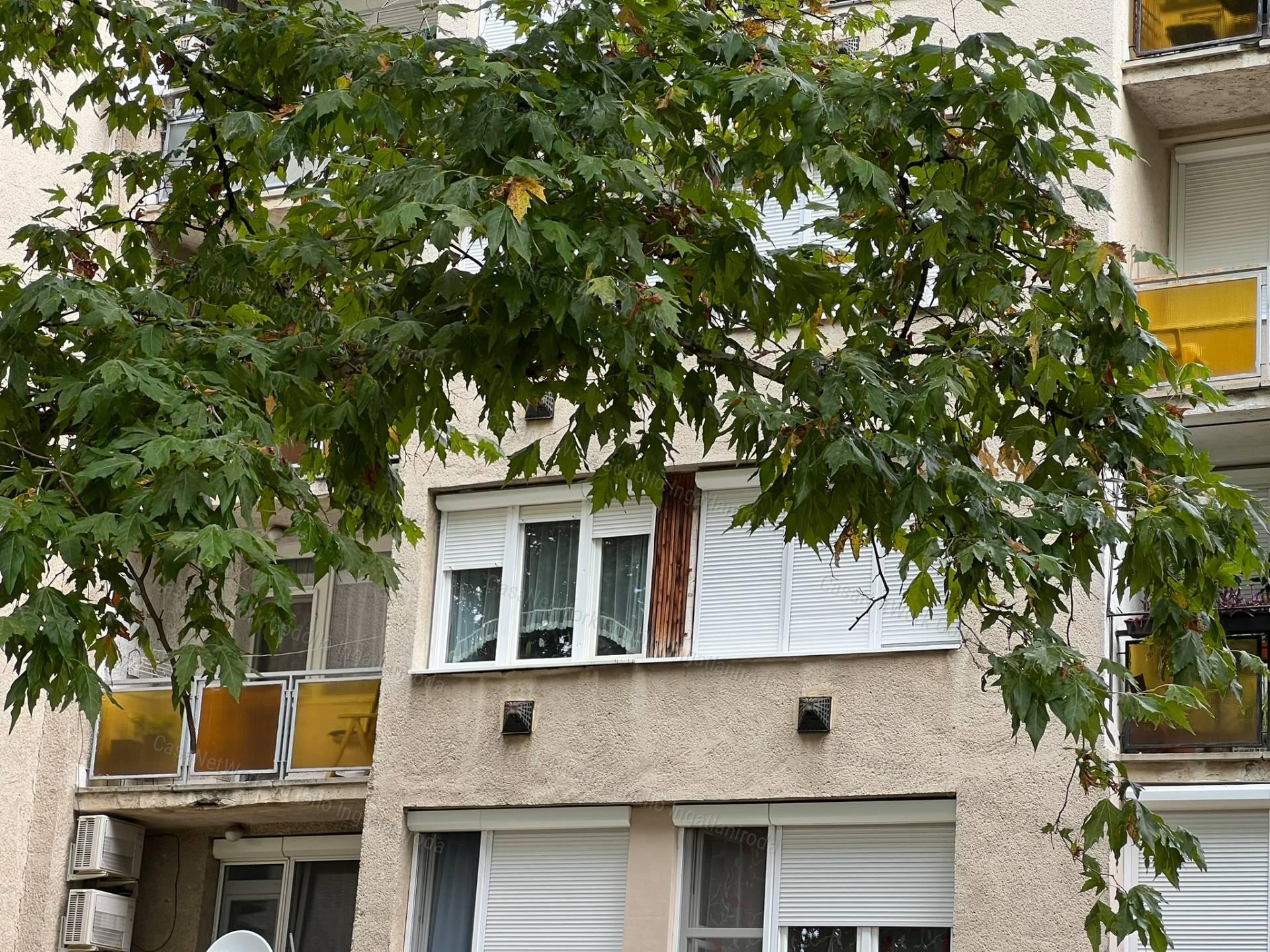 Patakpartra néző, erkélyes lakás