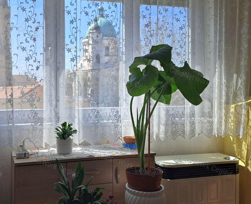 Eladó Cegléd szívében 70 m2 Téglalakás