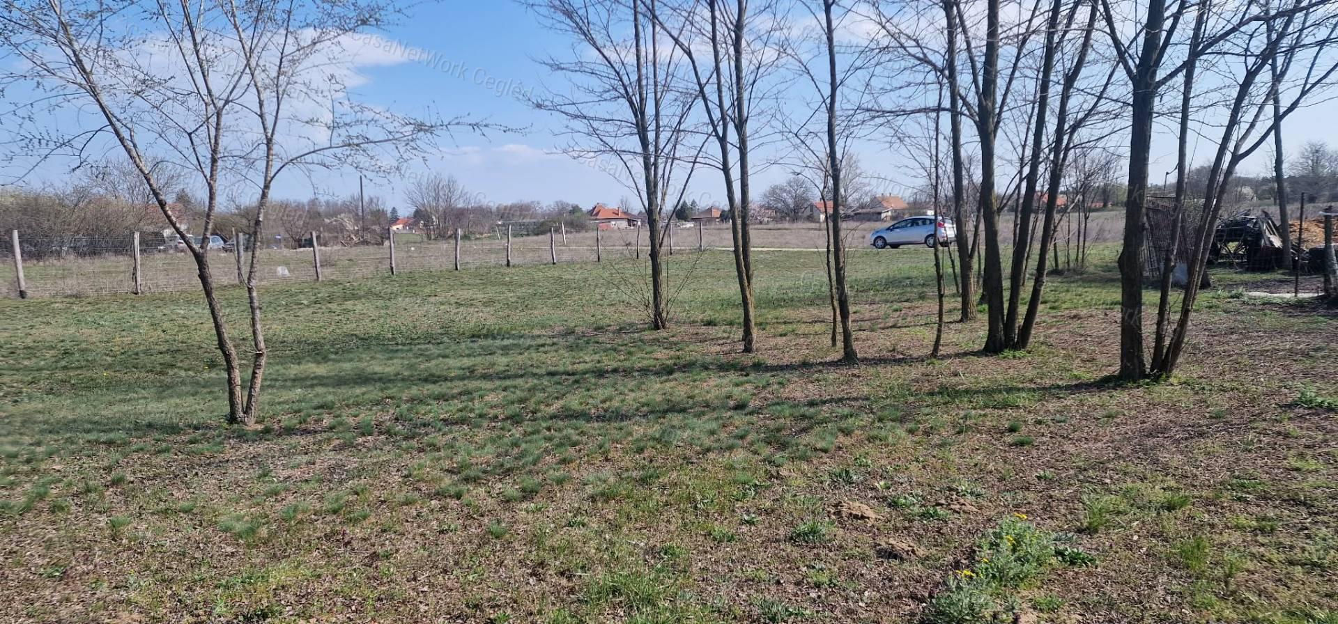 Cegléden telek eladó!
