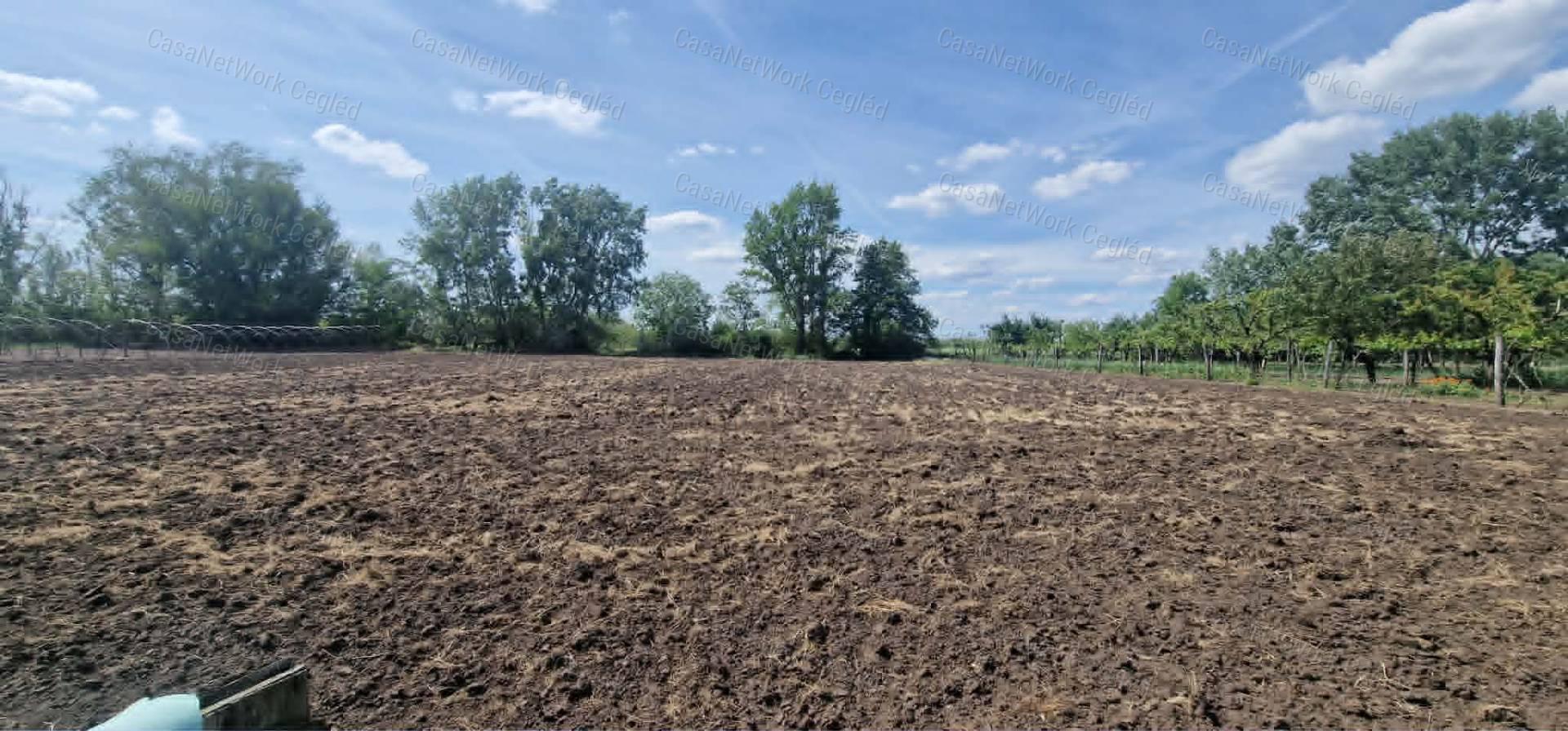 Újszilváson jó állapotú családi ház eladó