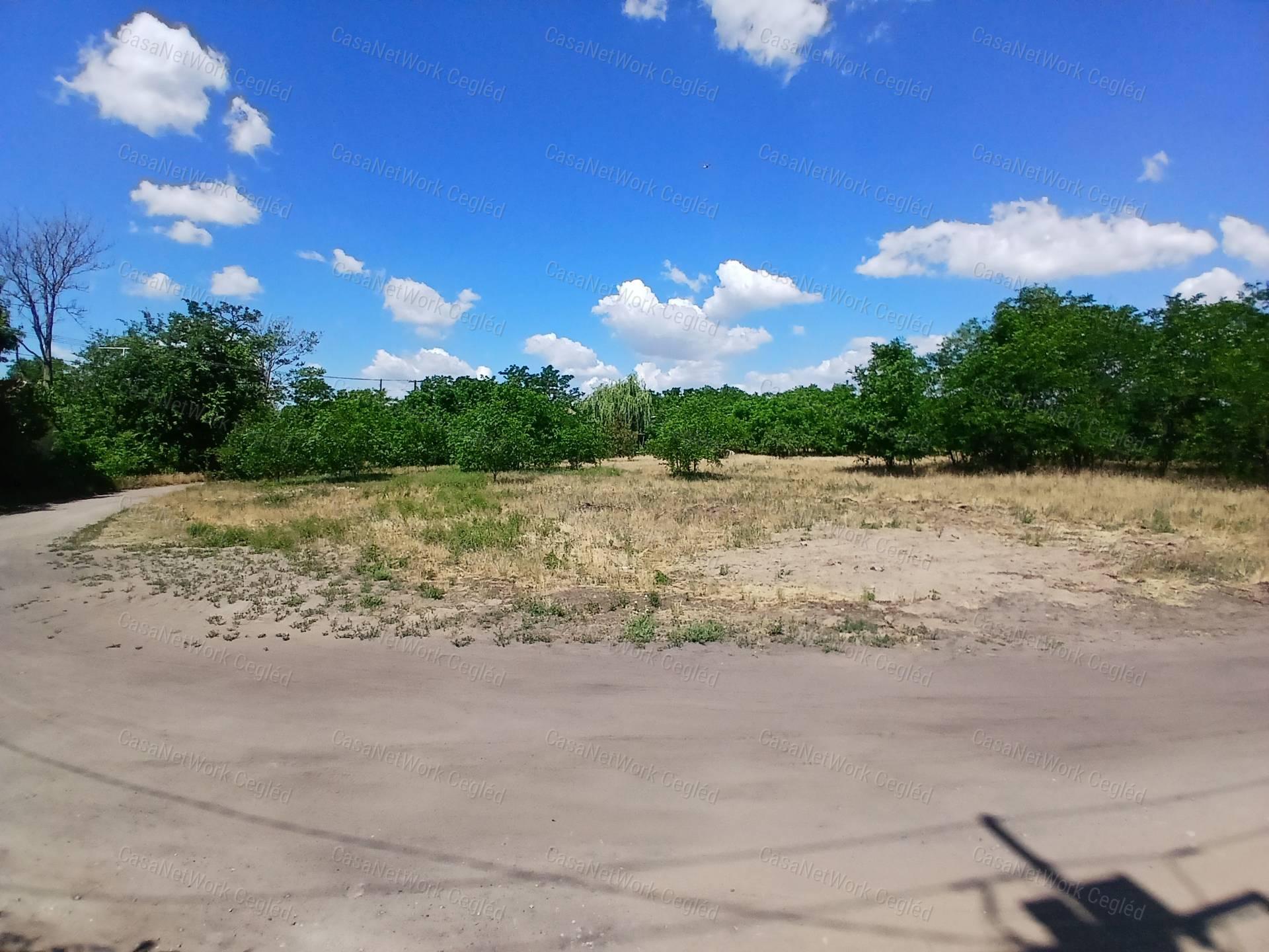 Eladó Cegléd Öregszőlőben 1500 m2 Zártkerti telek.