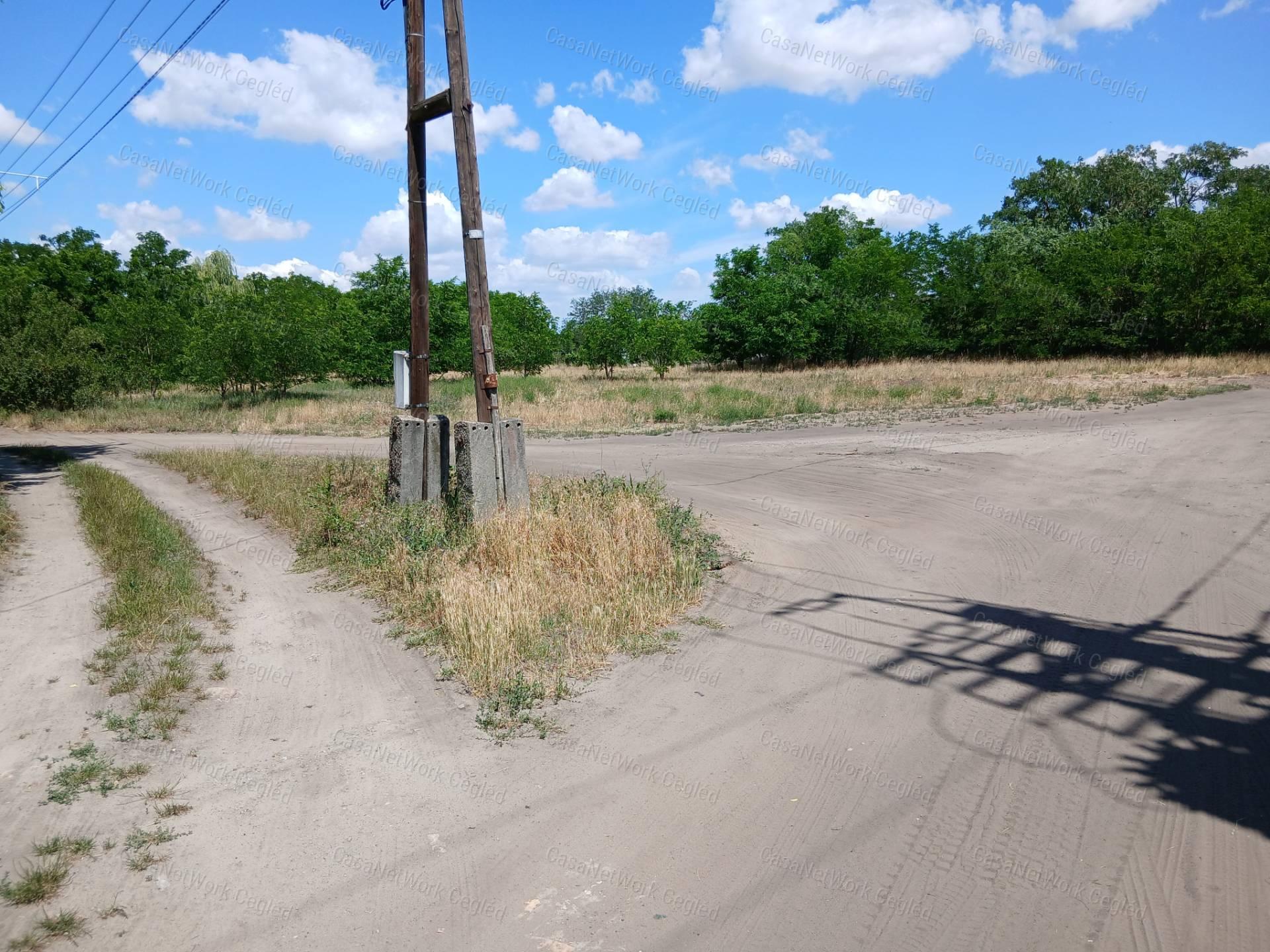 Eladó Cegléd Öregszőlőben 1500 m2 Zártkerti telek.