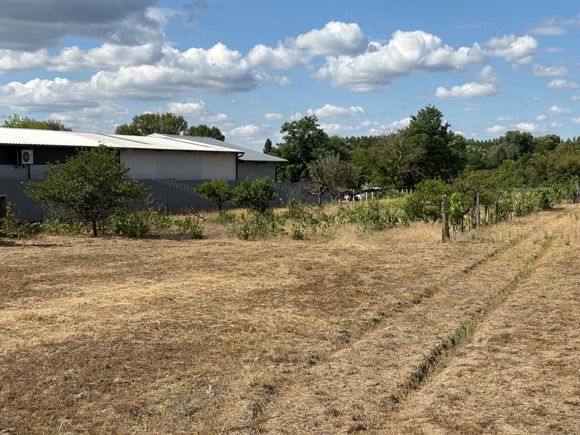 3 774 m²-es építési telek eladó Ceglédbercelen, a Gerje-patak közvetlen közelében