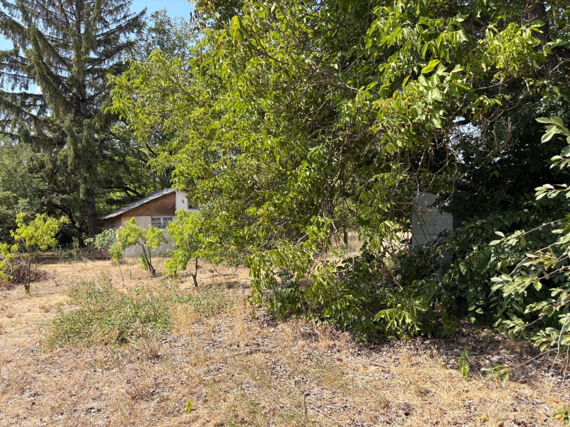 ELADÓ 1216 M²-ES TELEK CEGLÉD-ÖREGSZŐLŐBEN