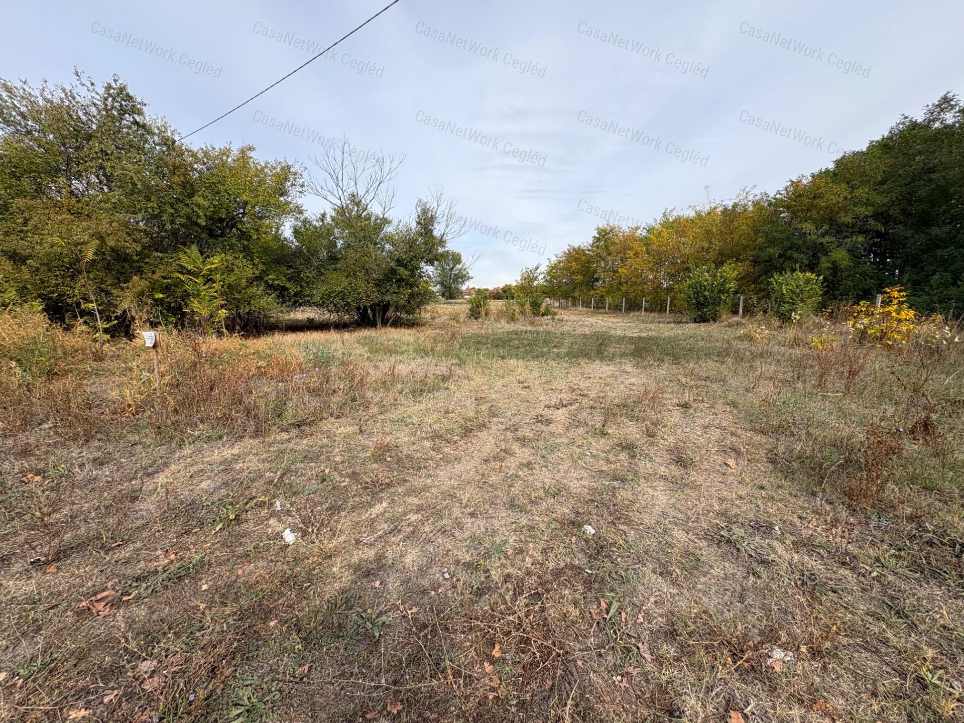 Eladó 1579 m²-es természetközeli, belterületi telek Cegléden