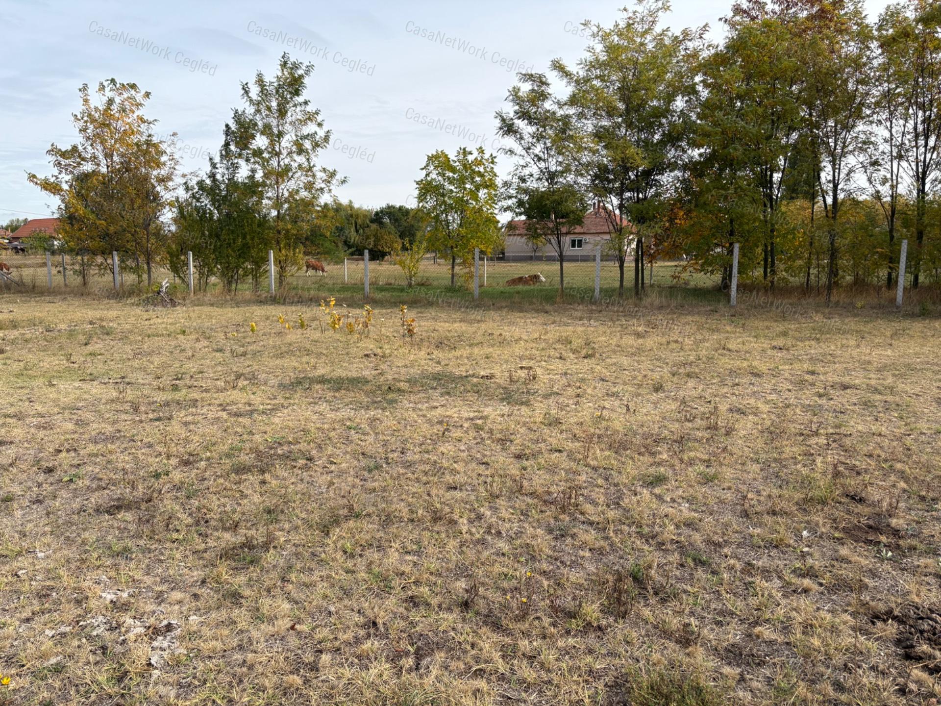 Eladó 1579 m²-es természetközeli, belterületi telek Cegléden