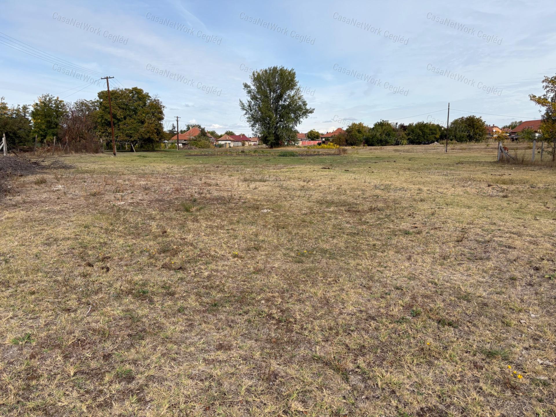 Eladó 1579 m²-es természetközeli, belterületi telek Cegléden