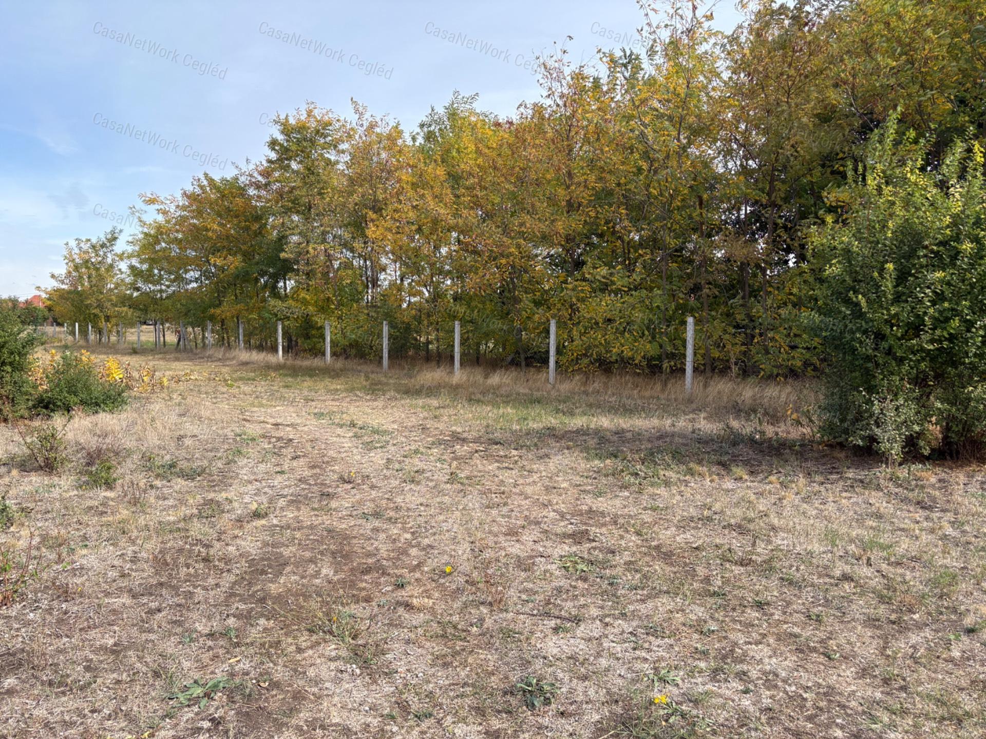 Eladó 1579 m²-es természetközeli, belterületi telek Cegléden