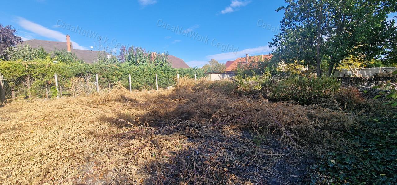 Cegléden, az Újvároson eladó ingatlan 1027 m²-es telken!