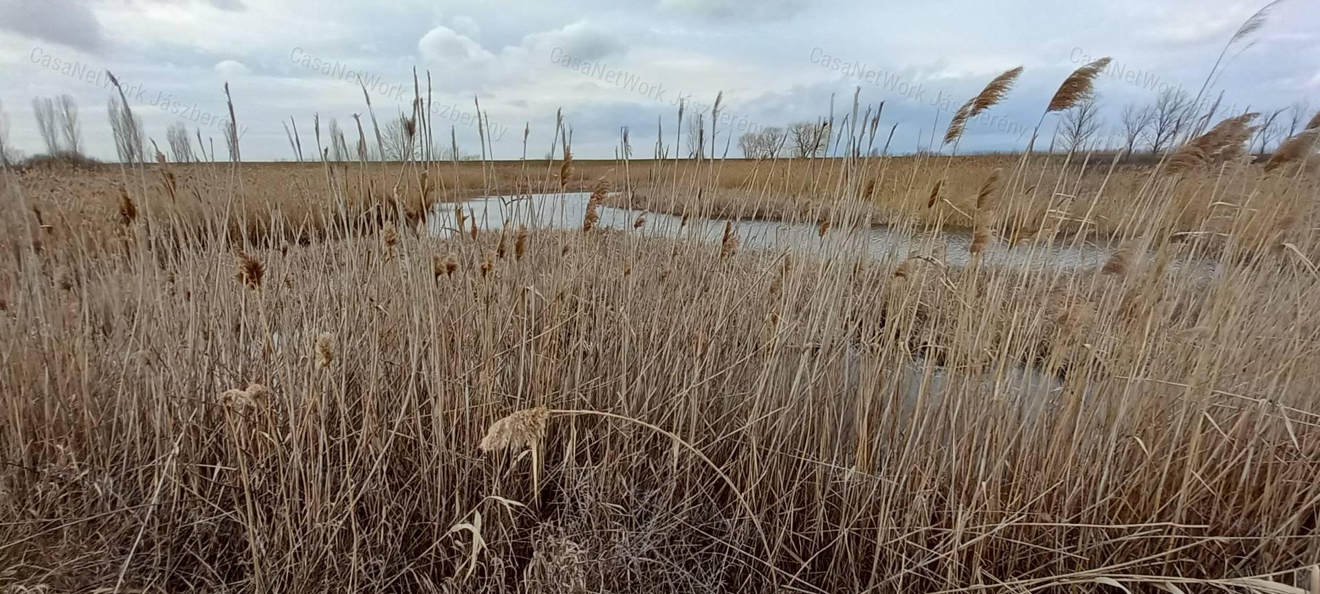 Eladó Tarnaörsön 97216 nm-es birtok, óriási ajánlat, akár részletre is