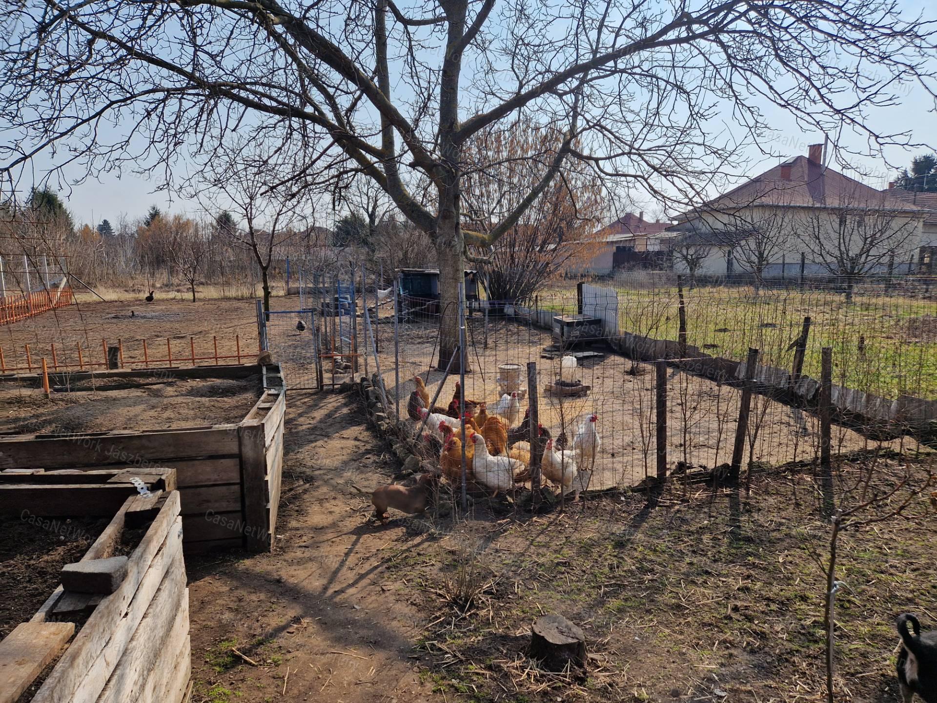 Erdőtelken 68 nm-es, felújítás alatt álló, 2 szobás családi ház eladó
