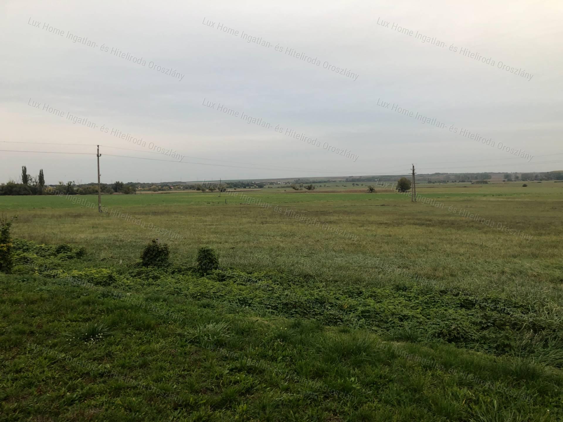 Eladó 5441 m2-es külterület Csákváron
