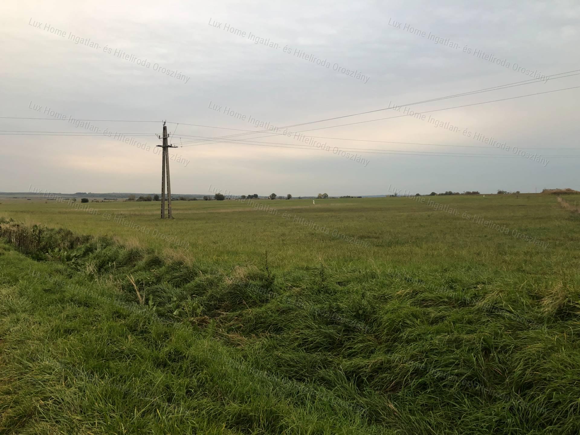 Eladó 5441 m2-es külterület Csákváron